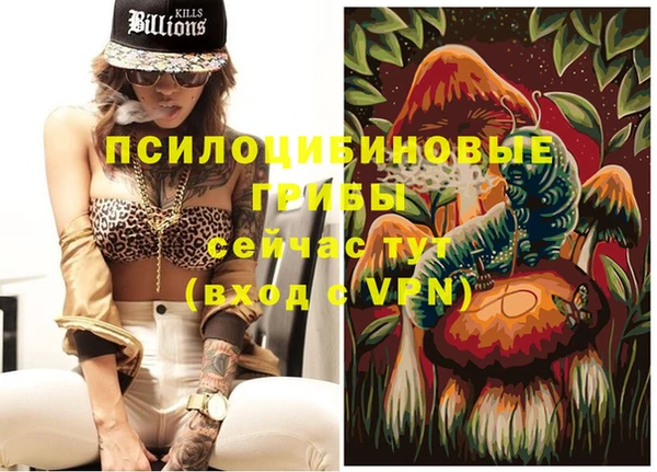 сатива Арсеньев