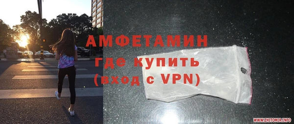 сатива Арсеньев