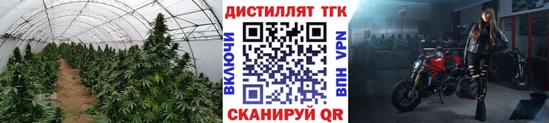 ТГК жижа  Рошаль 