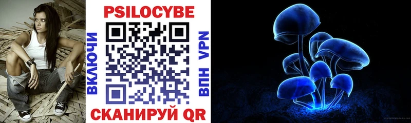 наркота Рошаль Псилоцибиновые грибы ЛСД